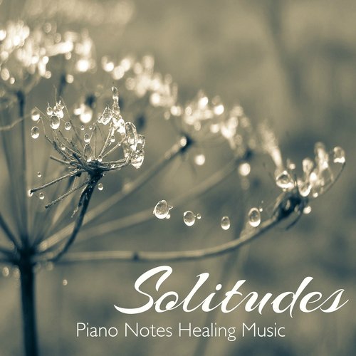 Solitudes – Piano Notes Healing Music_poster_image