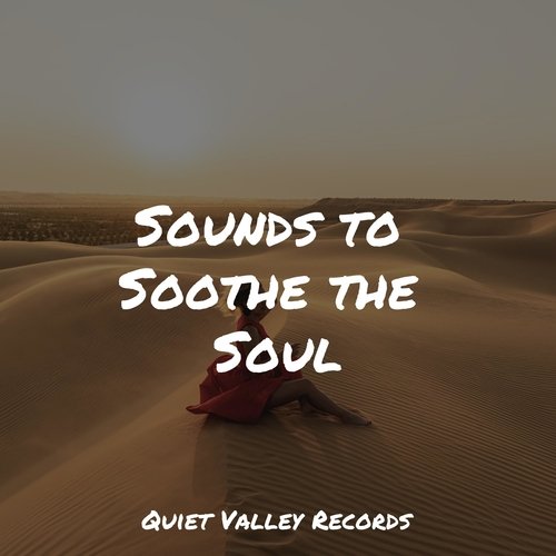 Sounds to Soothe the Soul_poster_image