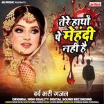 Tere Hatho Pe Mehadi Nahi Hai