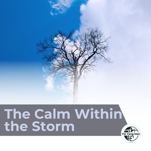 The Calm Within the Storm_poster_image