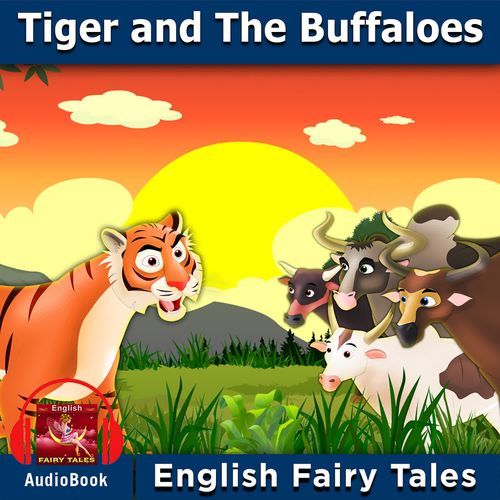 Tiger and The Buffaloes