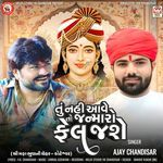 Tu Nahi Aave To Janmaro Fel Jashe