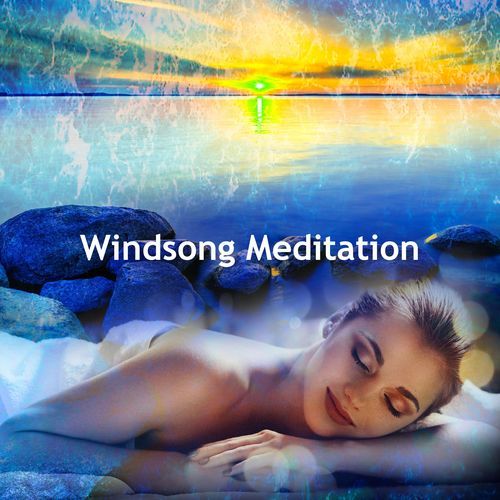Views Into cover art