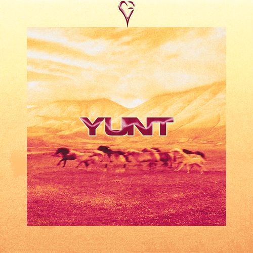 yunt