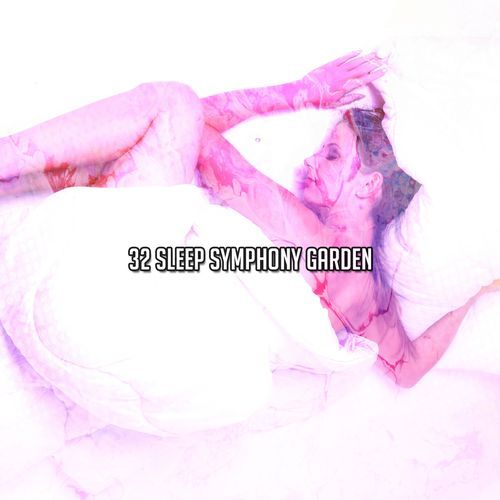 32 Sleep Symphony Garden_poster_image