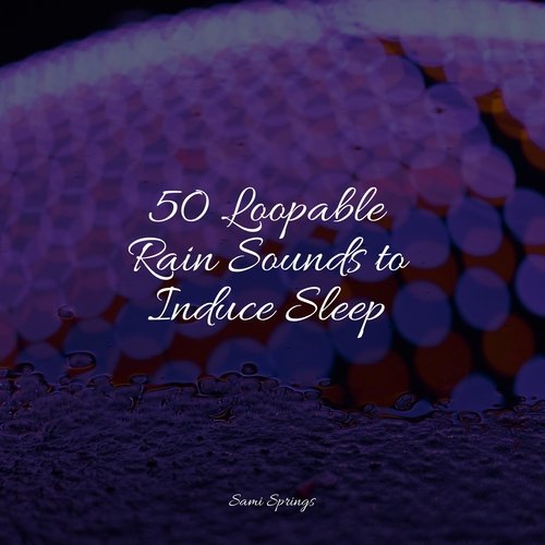 50 Loopable Rain Sounds to Induce Sleep