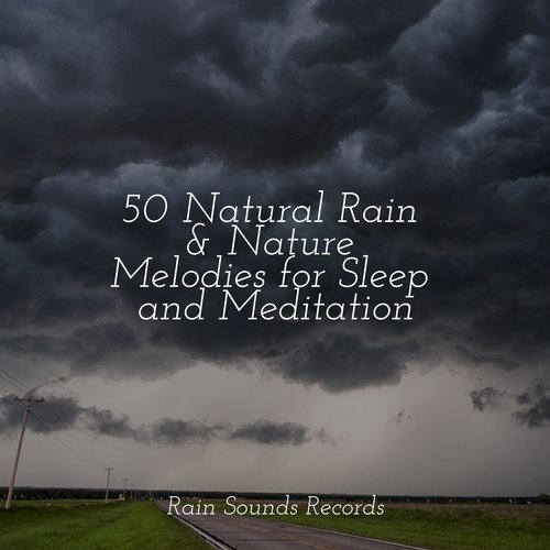 50 Natural Rain & Nature Melodies for Sleep and Meditation