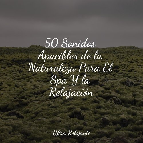 50 Sonidos Apacibles de la Naturaleza Para El Spa Y la Relajación