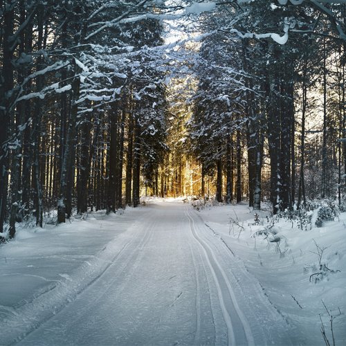A Christ Centered Christmas: 50 Magical Songs to Celebrate His Birth