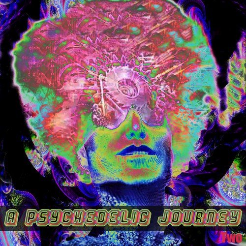 A Psychedelic Journey 2