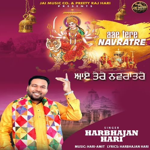 Aae Tere Navratre