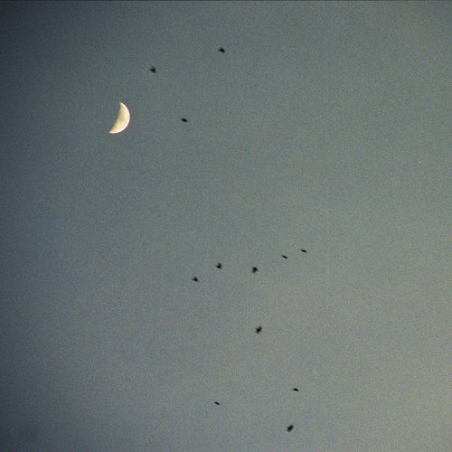 Amoureux De Vous cover art