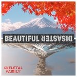 Beautiful Disaster