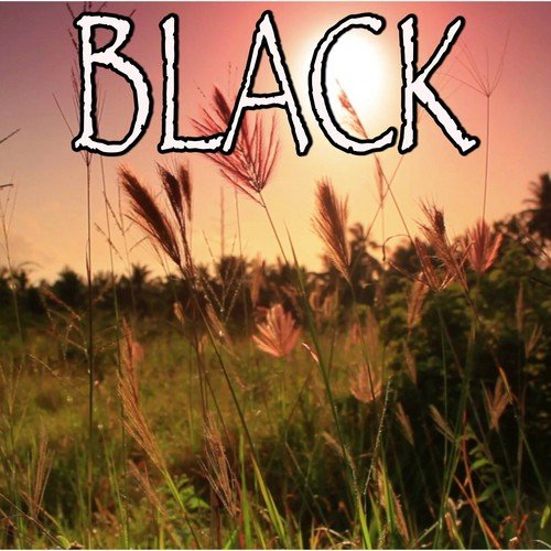 Black - Tribute to Dierks Bentley (Instrumental Version)