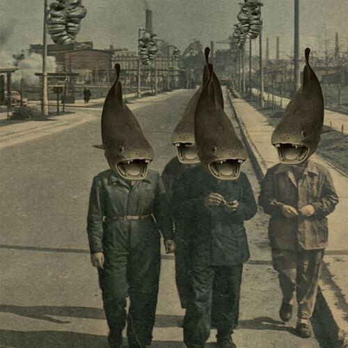 fiona cover art