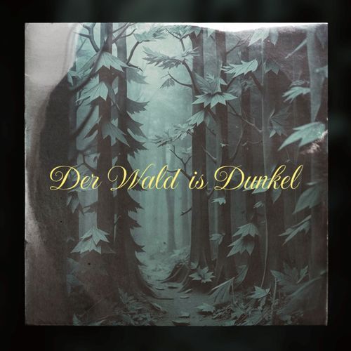 Der Wald is Dunkel cover art