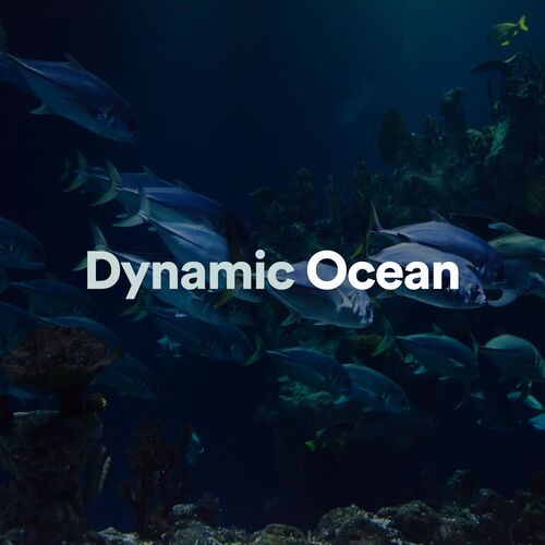 Dynamic Ocean