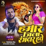 Hamar Jila Rangdar Have