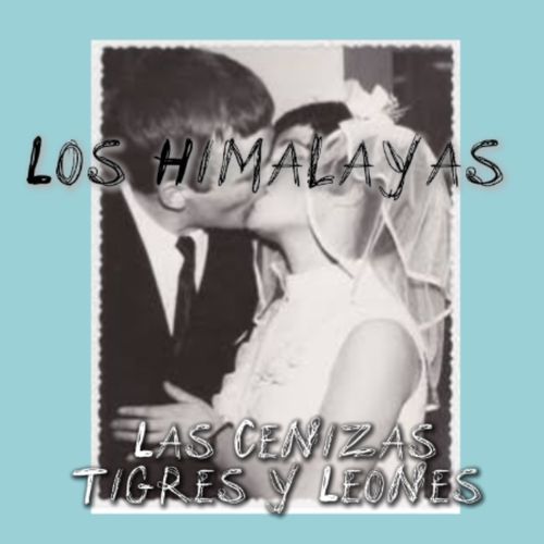 Tigres y Leones cover art