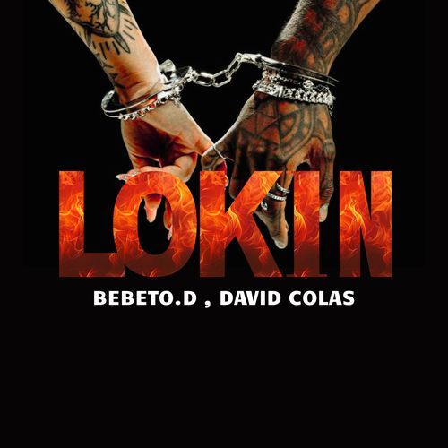 Lokin (Remix)