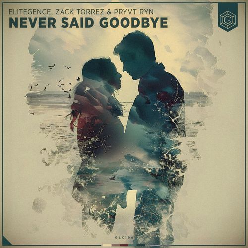 Never Said Goodbye (Radio Edit)_poster_image