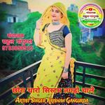 छोरा थारो सिस्टम तगड़ो चाले