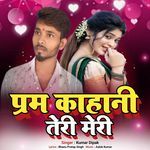 PREM KAHANI TERI MERI