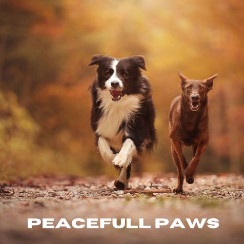 Peaceful Paws_poster_image