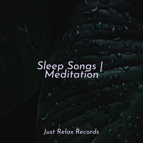 Sleep Songs | Meditation