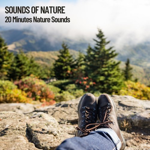 Sounds of Nature: 20 Minutes Nature Sounds_poster_image