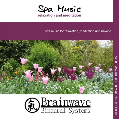 Spa Music: Relaxation and Meditation_poster_image