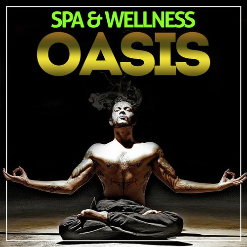 Spa & Wellness Oasis (20 Atmospheres, Relax & Chill Out Music)