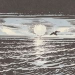 Still Waters