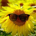 Summer on My Mind