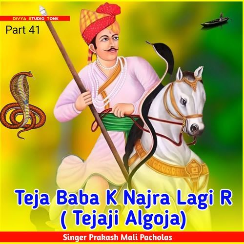 Teja Baba K Najra Lagi R ( Tejaji Algoja)