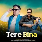 Tere Bina