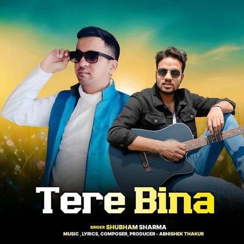 Tere Bina