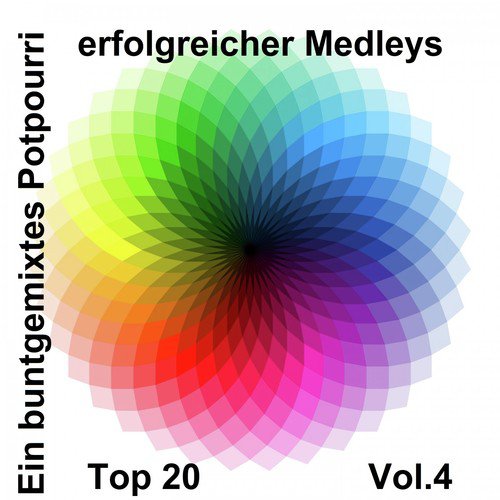 Top 20: Ein buntgemixtes Potpourri erfolgreicher Medleys, Vol. 4