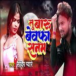 Tu Baaru Bewafa Sanam