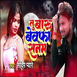 Tu Baaru Bewafa Sanam