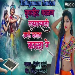 Tuzyasathi Aale Vanat Kanha Re