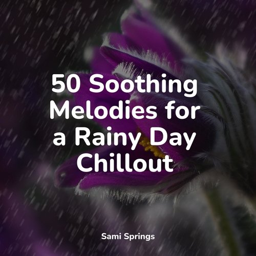 50 Soothing Melodies for a Rainy Day Chillout_poster_image