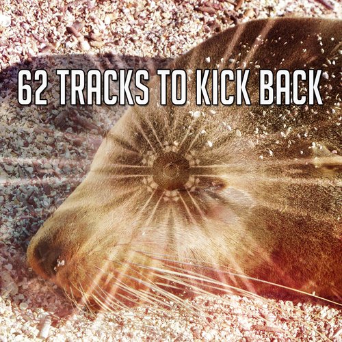 62 Tracks To Kick Back