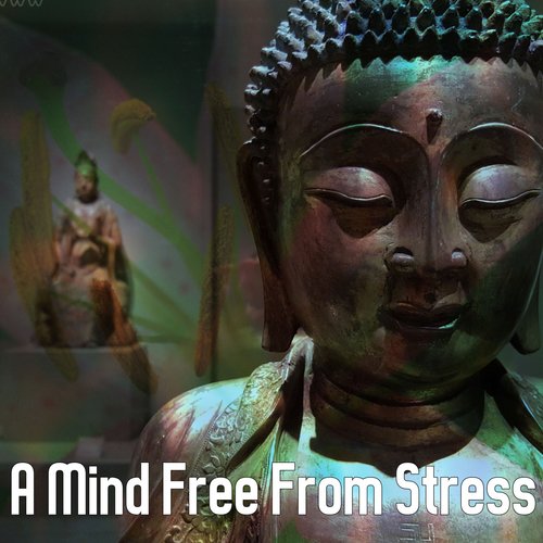 A Mind Free From Stress