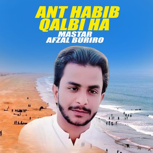 Ant Habib Qalbi Ha