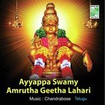 Swamy Namamu Swamy Namamu