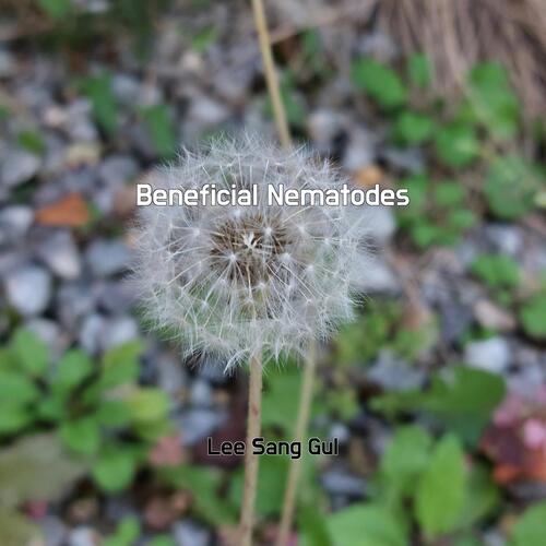 Potato Salad cover art