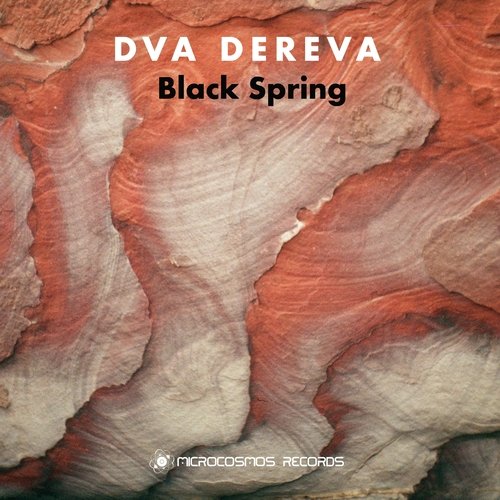 Black Spring cover art