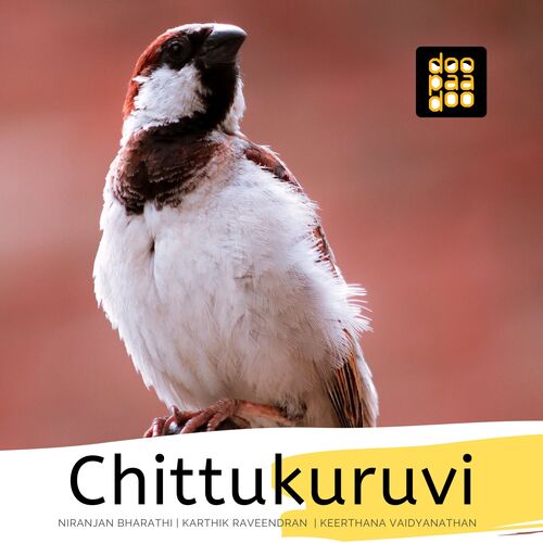 Chittukuruvi