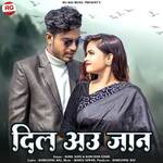 Dil Au Jaan artwork